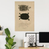 1932年のインド動物学 ポスター (ホームオフィス)