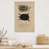 1932年のインド動物学 ポスター (キッチン)