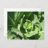 1933年2月28日、カラードグリーン ポストカード (正面/裏面)