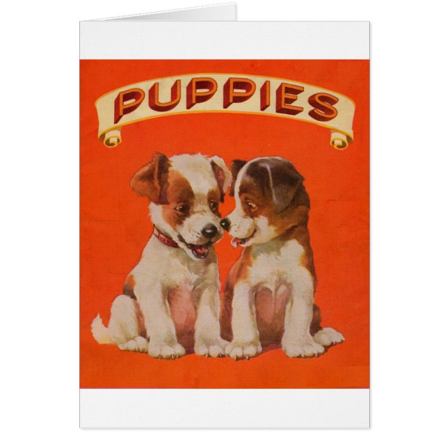1934年頃の子犬 (正面)