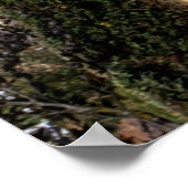 1934, Chevrolet Roadsterクラシック車 ポスター (角)