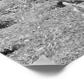 1936食べ物を与え年の農家の女の子の鶏。ヴィンテージ写真 ポスター (角)