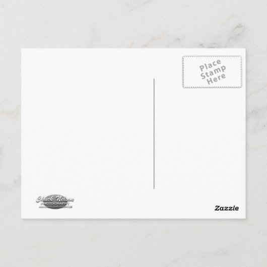 1937ブイック ポストカード (裏面)