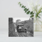 1937年ミネソタ州ブルーベリー収穫者 ポストカード (スタンド正面)