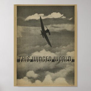 1938年の航空雑誌の飛行機の芸術のプリント ポスター