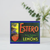 1940年代のエステロレモン果実輪状ラベル ポストカード (スタンド正面)