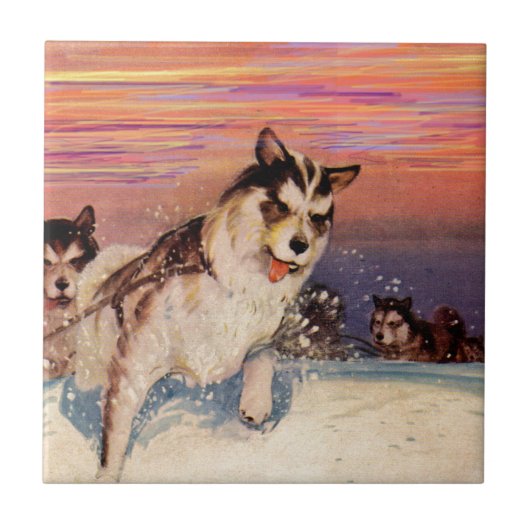 1940年代のシベリアのハスキー犬たちが自分のことをやっていた タイル (正面)