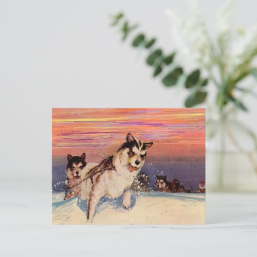 1940年代のシベリアン・ハスキーのそり犬が、彼らの仕事をしている ポストカード (スタンド正面)