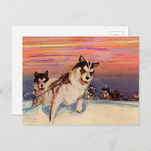 1940年代のシベリアン・ハスキーのそり犬が、彼らの仕事をしている ポストカード (正面/裏面)