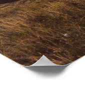 1940年代のミステリーダスタービプレーン ポスター (角)