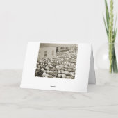 1940年代のWWIIの人々がバブル写真を発表 カード (裏面)