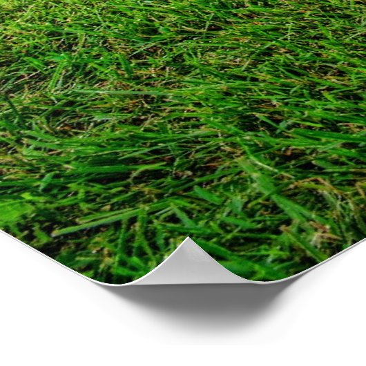 1942軍隊 ポスター (角)