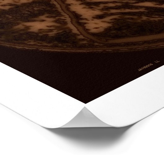 1943小麦ペニー3 ポスター (角)