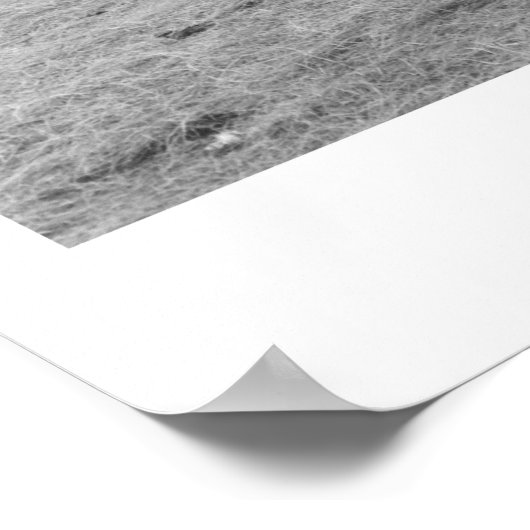 1943年の牛 ポスター (角)