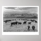 1943年の牛 ポスター (正面)