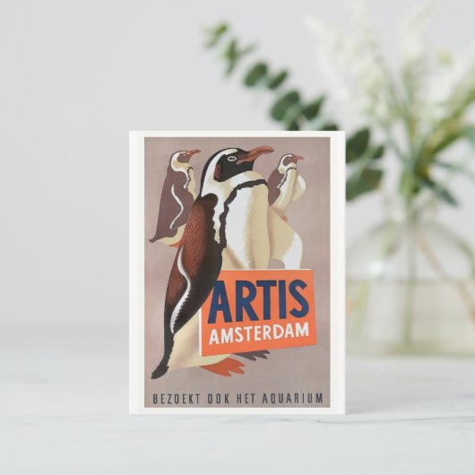 1947年のArtisの動物園のアムステルダムのペンギンポスター ポストカード (スタンド正面)