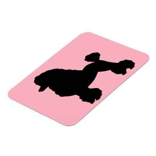 1950のピンクのプードルスカートのフレキインスパイアシブルマグネット マグネット (左側)