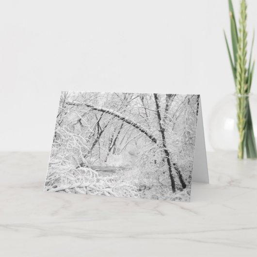 1950年の雪に覆われた森に覆われたクリーク シーズンカード (正面)