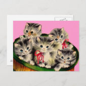 1950年代かわいいかごの子猫 ポストカード (正面/裏面)