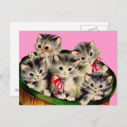 1950年代かわいいかごの子猫 ポストカード (正面/裏面)