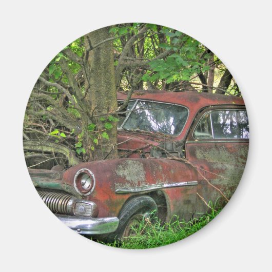 1950水銀磁石 マグネット (正面)