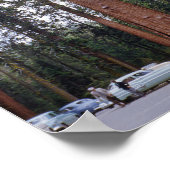 1952年カリフォルニアのセコイアの木 ヴィンテージ トラベル ポスター (角)