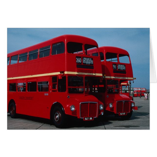 1954年の元のロンドンの""のRoutemasterの""バス (正面横)