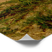 1954 Chevy Pickup ポスター (角)