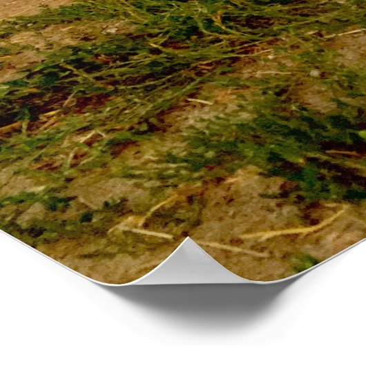 1954 Chevy Pickup ポスター (角)