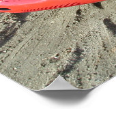 1955 550スパイダー ポスター (角)