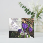 1956年のサラダドレッシングはがき ポストカード (スタンド正面)