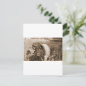 1960年代の豚 ポストカード (スタンド正面)