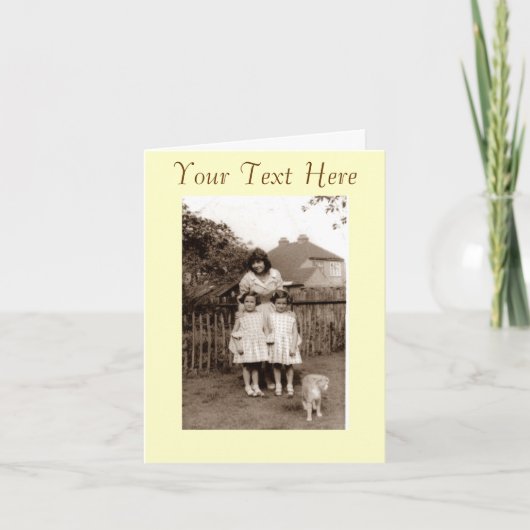 1960年、一卵性双生児かわいい猫の写真 カード (正面)