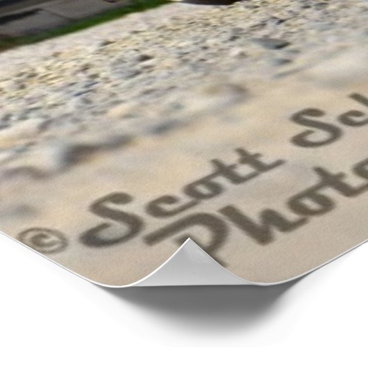 1965インパラ ポスター (角)