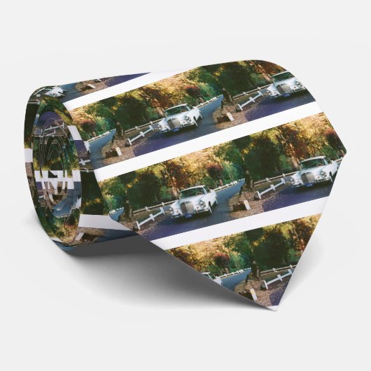 1965_220SEb_001 1965年のベンツ220SEbのクーペ ネクタイ (ロール)