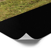 1966コルベット ポスター (角)