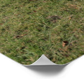 1966ドッジコロネット ポスター (角)