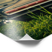 1966ドッジチャージャ フォトプリント            (角)