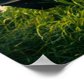 1966ドッジチャージャ ポスター (角)