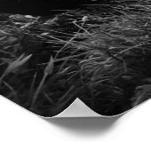 1966ドッジチャージャ ポスター (角)