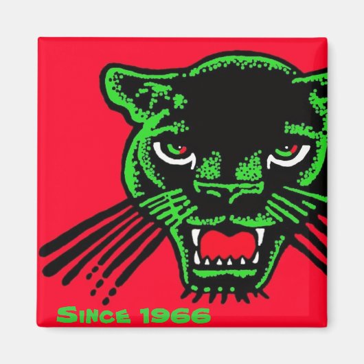 1966年磁石以来のパンタ マグネット (正面)