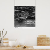 1966年、UCサンフランシスコ付近の水と木 ポスター (キッチン)