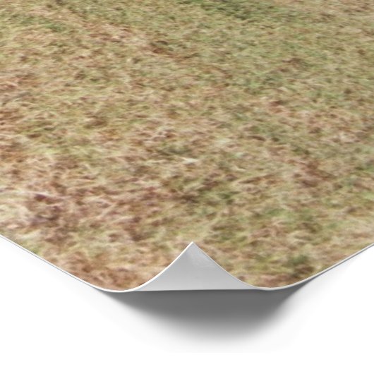 1966年GTOポスター ポスター (角)