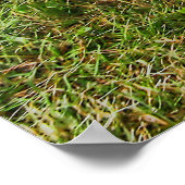 1967プリマスベルヴェデーレII ポスター (角)