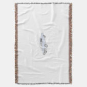 1967年のChevy Chevelle スローブランケット (正面縦)