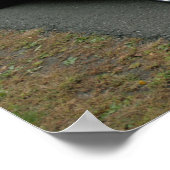 1968ドッジチャージャ440マグナム ポスター (角)