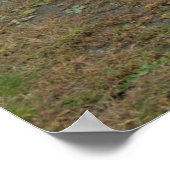 1968ドッジチャージャ ポスター (角)