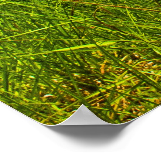 1968 4-4-2 ポスター (角)