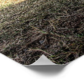 1968 Dodge Charger in HDR ポスター (角)