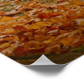 1969オールド442 ポスター (角)